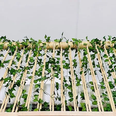 Flat For Family & Groups * Valencie